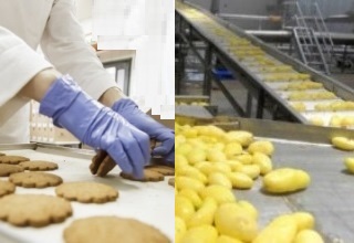 UK offers technology, skill to India for food processing