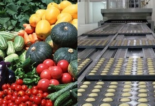 Food Park to come up in Siliguri