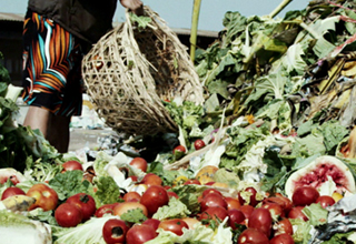 Major reasons for wastage of food grain produce in India are poor farm operations: Study