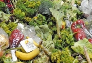 India losing Rs 440 bn on wastage of fruits & vegetables annually: APEDA
