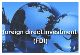Govt approves 7 proposals for FDI amounting to Rs 981.15 cr