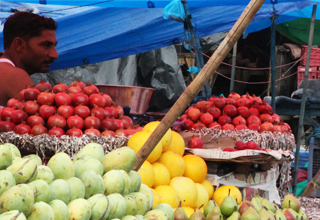 CSIR institute discovers enzyme to increase shelf life of fruits and vegetables