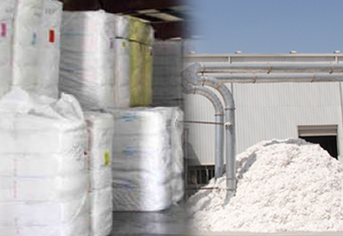 Sharp rise in cotton prices to hurt Ginners and Spinners profitability by over 15% in FY17