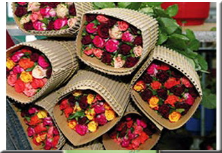 Canada offers help to set up a horticulture university in Haryana