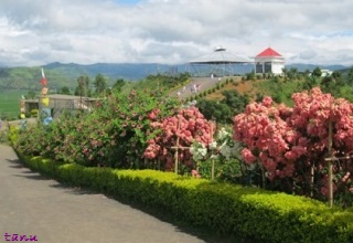 Foreign tourists to NE states increase by 27.9% in 2013
