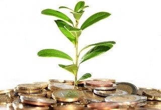 MSMEs are primary responsibility of States; central govt supports efforts
