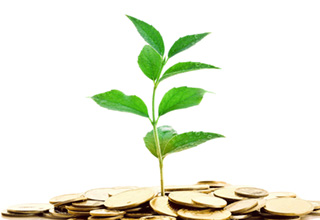 Investors keen to set up MSMEs at a cost of Rs 260 cr in Tuticorin