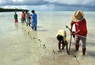 Impact of climate change alarming; yet opportunities exist for effective response