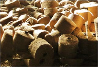 WB chief minister should take steps to save jute industry, demands Congress