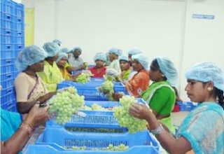 New cold chain facility in Bagalkot, Karnataka