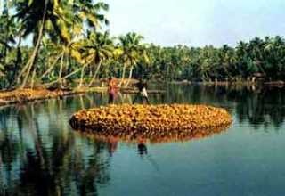 Kerala B2B Meet to promote SMEs begins on Feb-26 