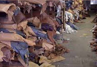 Jalandhar leather industry in dying state due to lack of treatment plants