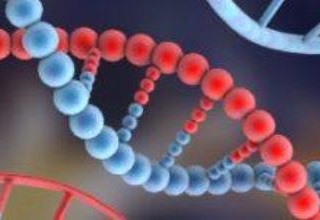 Andhra Pradesh to get life sciences parks in PPP mode