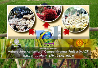 Maharashtra takes steps to boost agricultural market