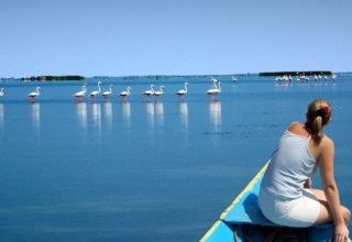 6.8% growth in tourists availing VoA scheme; maximum tourists from Japan