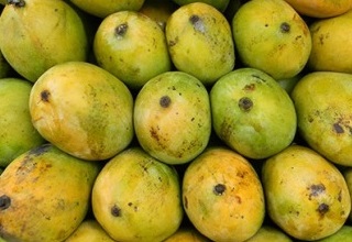 States asked to caution the public about artificially ripened fruits
