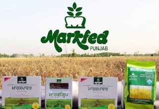Markfed Punjab to set up spice grinding plant in Jalandhar