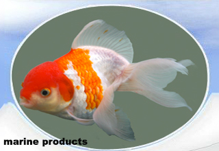 Aquaculture pathology lab in Sirkali, TN gets accreditation