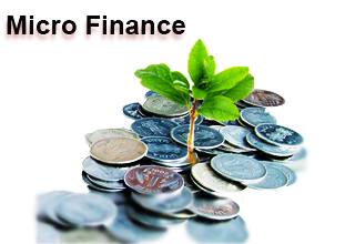 Ratan Tata after e-commerce into micro finance 