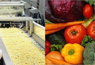 NIFTEM to set up six pilot plants in food processing to help new entrepreneurs