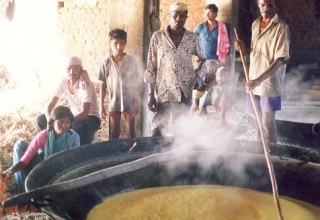 Govt encouraging SMEs to establish food processing industries in Mysore