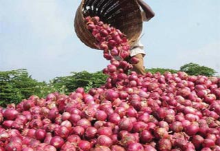 Govt extends ban on hoarding onion beyond prescribed limit by 1 year