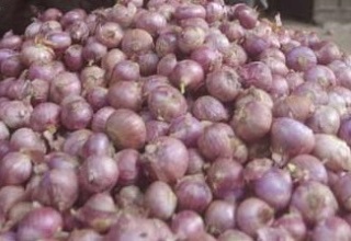 Govt relaxes onion import norm; allows fumigation in India up to Nov-30