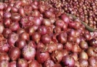 MEP on onion export increased to USD 500 per MT FOB