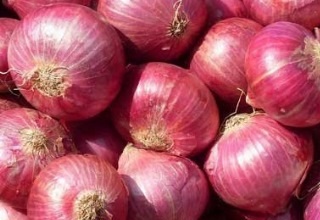 Govt does away with minimum export price for onion export