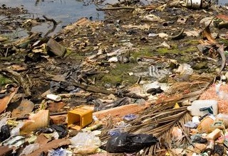Haryana units can pay online pollution consent fee  