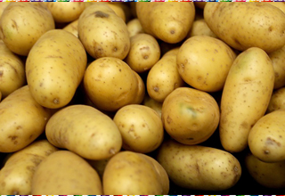 Curbs on potato shipments; minimum export price fixed at USD 450