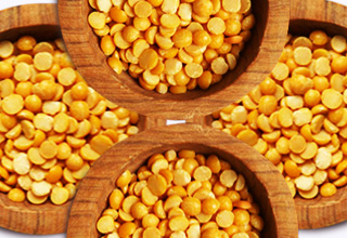MMTC was advised to float a tender for milling the imported pulses 