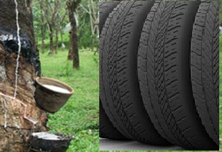 Centre to raise import duty on rubber