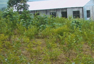 Boost for MSMEs - 'Make in Manipur' and GIS mapping for sericulture activities launched