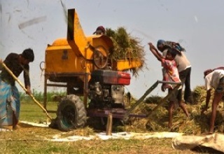 Delhi's Kisan Mandi to ensure direct marketing of fruits & vegetables 