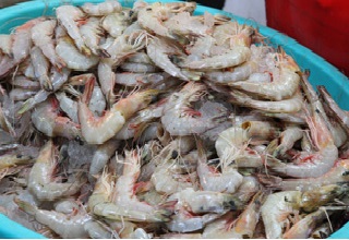 Seafood industry needs technology infusion, market expansion: Industry Minister