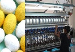 Silk Park at Ranchi to help Jharkhand handicraft 