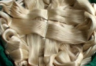 Remedial measures to preserve silk weaving in Bhagalpur 