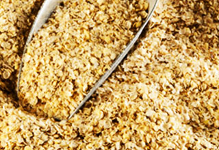 85% fall in Soymeal exports: Study