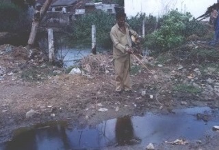 NDMC to tackle mosquito menace