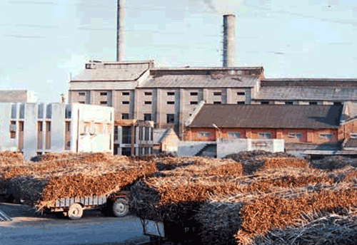 Cabinet approves formula to provide production subsidy to sugar mills