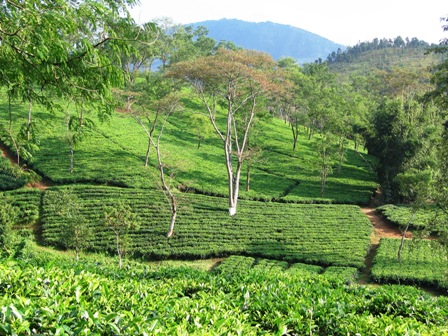 Small farmers' association to start livelihood programme in 39 blocks of Meghalaya