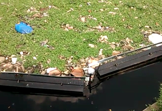 AlphaMERS puts up trash barrier in Ulsoor Lake