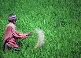 There are only two small functional Urea units in Eastern India; Rs 6000 cr boost to revive J'khand plant