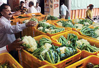 December wholesale price index contracts 0.73%